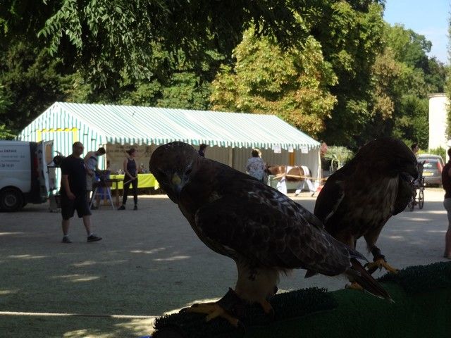 fete ane 2018 (38).JPG